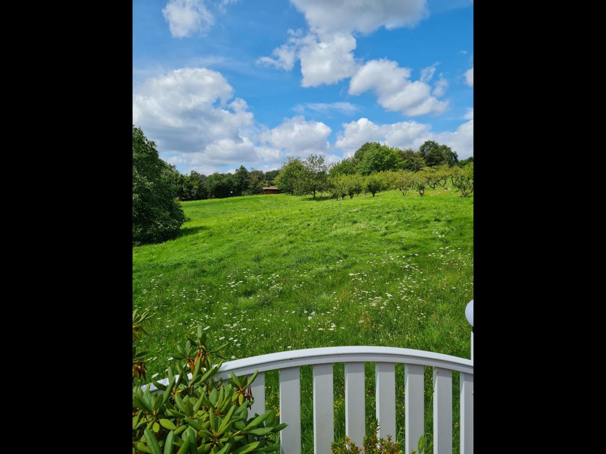 Neu Ferienwohnung Odenwald Rimhorn Exteriör bild